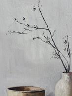 Enzo (XX) - Petite nature blanche 1