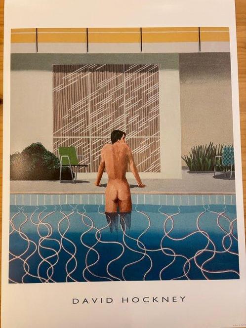 David Hockney (after) - Peter getting out of Nicks pool, Antiek en Kunst, Kunst | Tekeningen en Fotografie