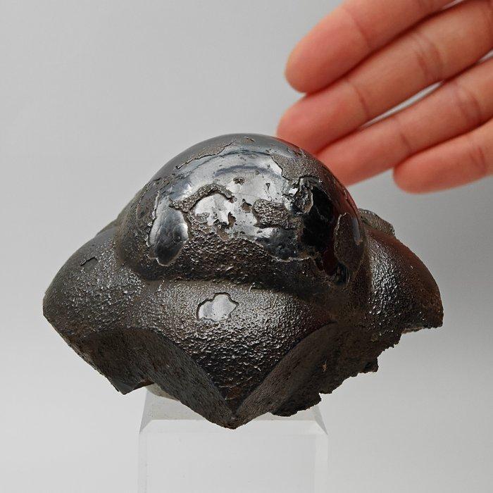 Zeldzame glanzende mammaire ematiet, Bucata, Marokko., Verzamelen, Mineralen en Fossielen