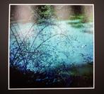 Viet Ha Tran - Silence of the moon