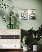 Georges-Louis Leclerc - Weissenbruch S.A. - Illustration of