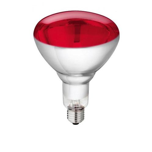 Warmtelamp lamp van gehard glas philips 150w 240v, rood -, Articles professionnels, Agriculture | Aliments pour bétail