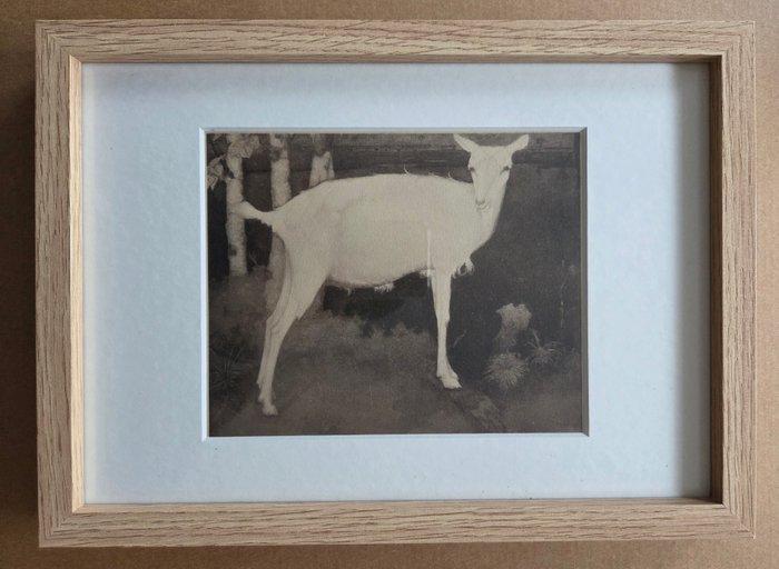 Jan Mankes (1889-1920) - Geit Heliogravure. Ingelijst., Antiek en Kunst, Antiek | Overige Antiek