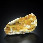Cluster de fluorite jaune rare en forme de botryoïde de 234
