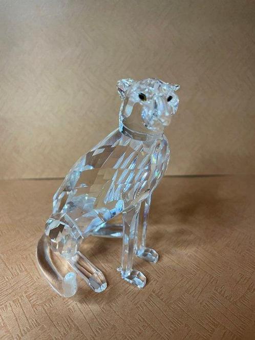 Swarovski - Beeldje - Cheetah 183225 - Boxed + Certificate -, Antiek en Kunst, Curiosa en Brocante