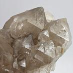 Grosso rookkwarts Alpino Elestiale en Spectrum, Italië