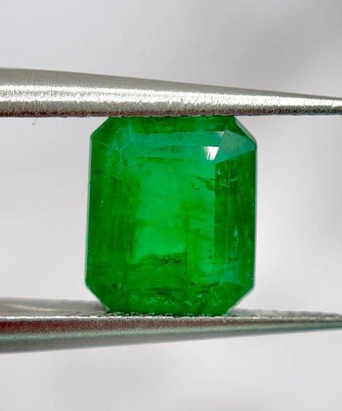 1 pcs  Groen Smaragd  - 3.10 ct - International Gemological, Handtassen en Accessoires, Edelstenen