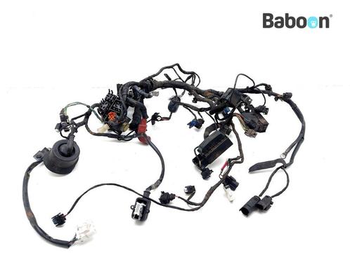 Kabelboom BMW F 650 GS 2004-2005 (F650GS 04), Motoren, Onderdelen | BMW, Gebruikt, Verzenden