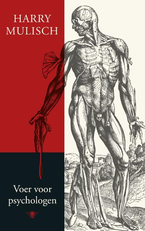 Voer voor psychologen 9789023458739 Harry Mulisch, Boeken, Romans, Zo goed als nieuw, Verzenden