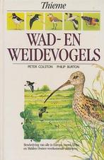 Wad- en weidevogels 9789052100111, Gelezen, Philip Burton, Peter Colston, Verzenden
