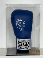 Boksen - Roy Jones Jr. - Bokshandschoen, Collections, Collections Autre