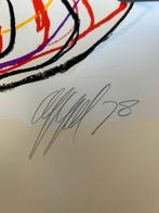 Karel Appel (1921-2006) - De rustende kikker