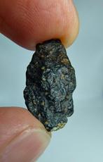 Meteorite. CVoxA3. Carbonaceous (NWA 17324). - 3.5 g - (1)