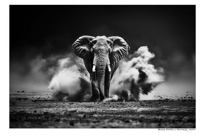 Arnold Mariashin - Animals 81 El - XL - No reserve, Antiek en Kunst, Kunst | Schilderijen | Modern
