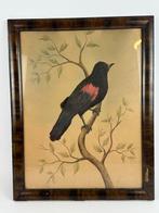 Wanddecoratie - Een echt veren vogel schilderij - Verenigd