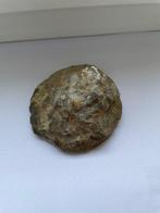 Koraal - Fossiel fragment - Rugose coral (Order Rugosa) - 6, Verzamelen