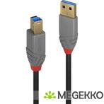 Lindy 36743 3m USB A USB B Mannelijk Mannelijk Zwart, Grijs, Verzenden, Nieuw