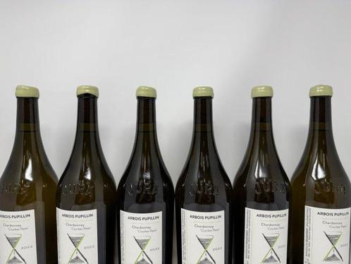 2022 Cellier Saint Benoit Courbes Raies - Arbois-Pupillin, Verzamelen, Wijnen