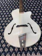 Egmond - Archtop - - Guitare acoustique - Pays-Bas - 1960, Nieuw