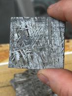 Aletai meteoriet Geen minimumprijs - 31.5 g, Verzamelen, Mineralen en Fossielen