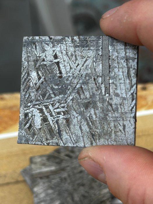 Aletai meteoriet Geen minimumprijs - 31.5 g, Verzamelen, Mineralen en Fossielen