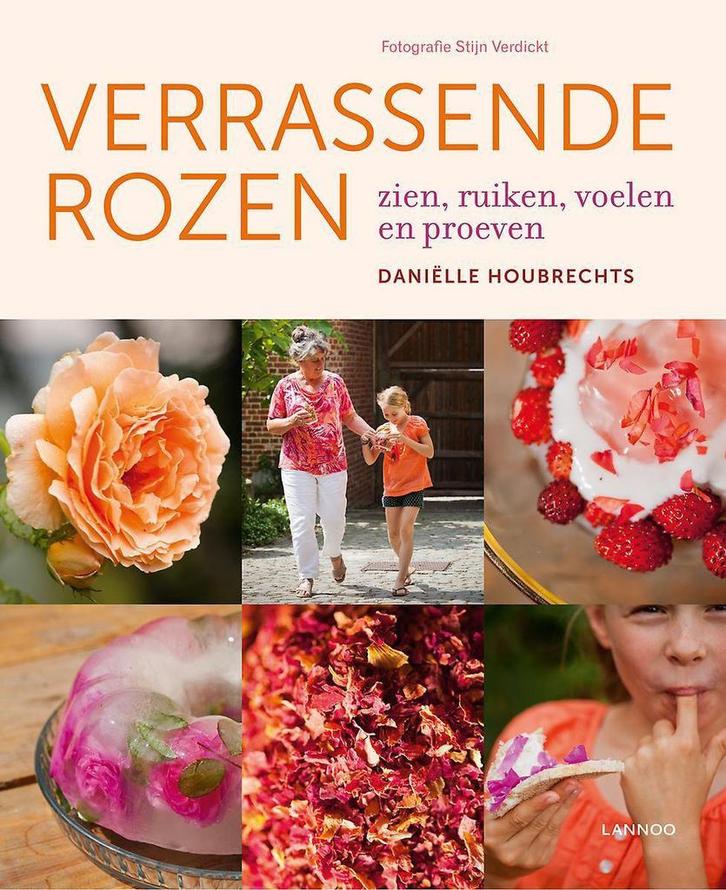 Verrassende rozen 9789401424578 Daniëlle Houbrechts, Boeken, Hobby en Vrije tijd, Zo goed als nieuw, Verzenden