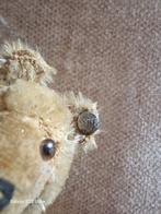 Steiff - Teddybeer - 1930-1940 - Duitsland, Antiek en Kunst