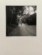 José Nicolas (1956) - Porquerolles, sentier