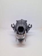 Rode vos Schedel van een zoogdier - Vulpes vulpes - 6.5 cm -, Verzamelen, Dierenverzamelingen, Nieuw