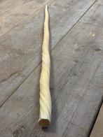 Narwhal Rostrum Tand - Monodon monoceros - 101 cm - 4 cm - 4, Verzamelen, Nieuw
