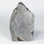 Aletai IJzer meteoriet - 106 g