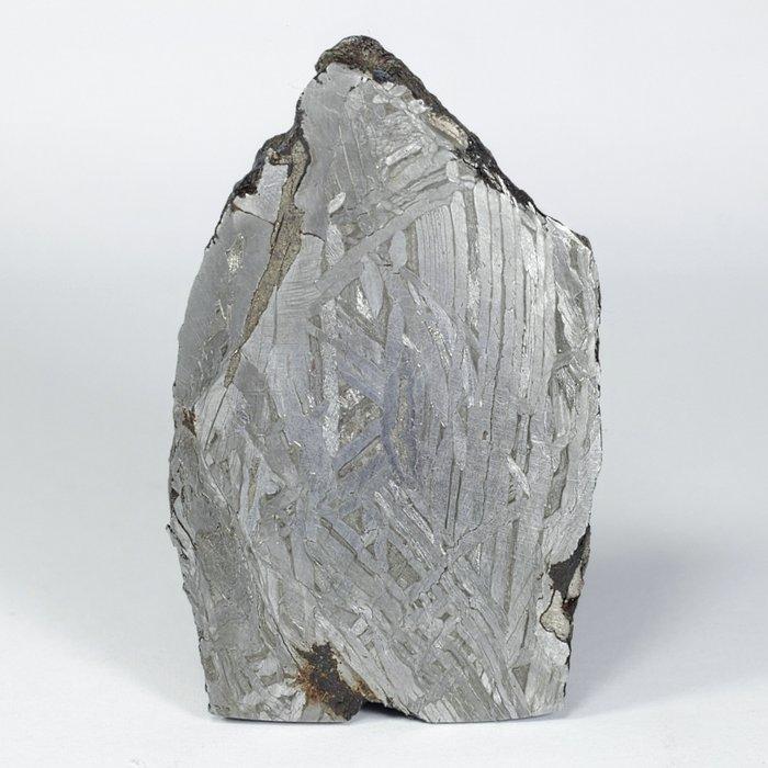 Aletai IJzer meteoriet - 106 g, Verzamelen, Mineralen en Fossielen