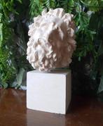 Sculpture, Testa di Laocoonte - 30 cm - poussière de marbre, Antiquités & Art