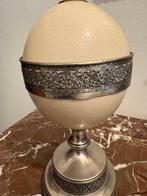 Struisvogel Ei - uovo di struzzo - 29 cm - 13 cm - 11 cm -