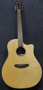 Breedlove - Dreadnought Plus, Persuit Series met gigbag - -, Nieuw