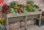 NIEUW - VegTrug muurmodel grijs 180 cm, Tuin en Terras, Kweekspullen, Verzenden, Nieuw