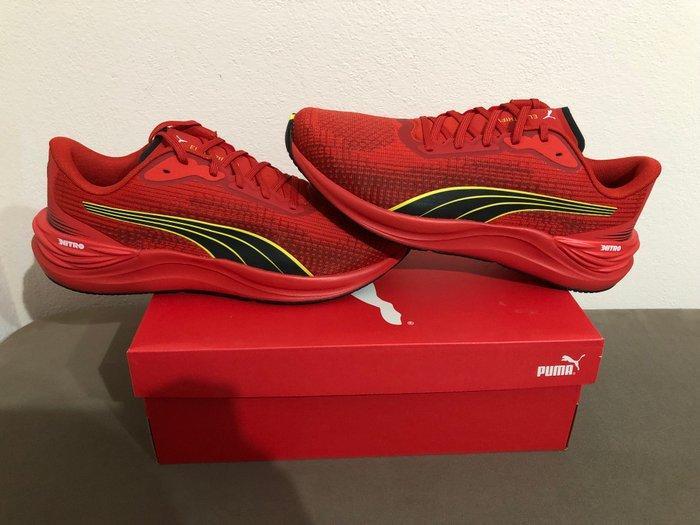 Ferrari HP - Formule 1 - 2024 - Teamkleding, Verzamelen, Automerken, Motoren en Formule 1