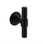 Gatdeel T-model recht + ronde platte rozet 50X2mm RVS/Zwart, Doe-het-zelf en Bouw, Ophalen of Verzenden, Nieuw, Klink of Kruk