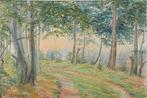 G. Swarts (1879-1945) - Forest path at sunset, Antiek en Kunst