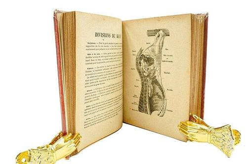 Urbain-Dubois - École des cuisinières - 1926, Antiek en Kunst, Antiek | Boeken en Manuscripten