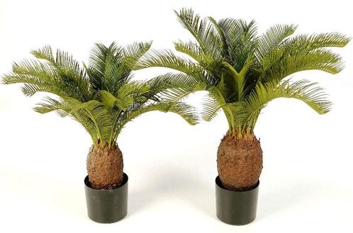 Kunstplant Cycas Palm 70 cm, Maison & Meubles, Plantes d'intérieur, Envoi