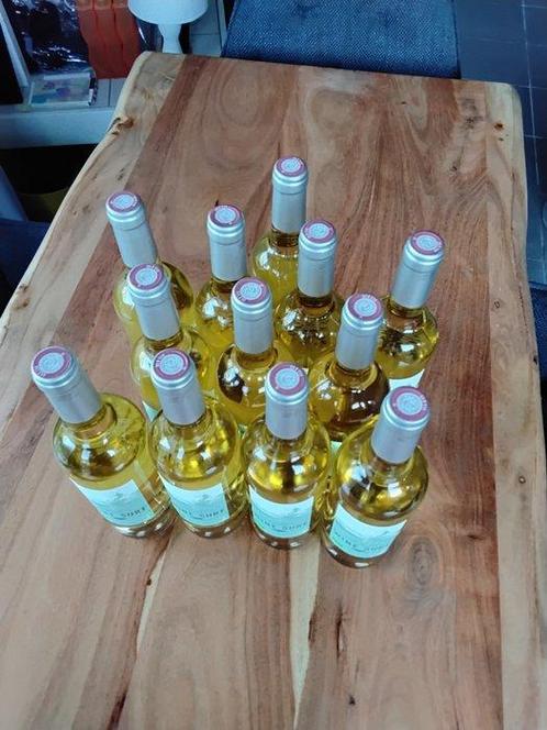 2021 Wine Surf, Blanc Bio - Bordeaux Bordeaux Blanc - 12, Verzamelen, Wijnen