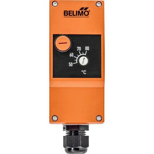Limiteur de température de sécurité STB 1m 50-80, Bricolage & Construction, Chauffage & Radiateurs, Envoi