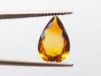 Toermalijn - 2.45 ct - Instituto Gemólogico Español (IGE), Nieuw