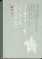 Geïllustreerd anatomisch zakwoordenboek 9789031348138, Boeken, Gelezen, H. Feneis, W. Dauber, Verzenden