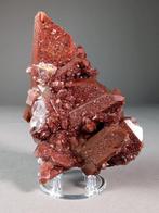 rode kwarts kristalcluster Kristalen - Hoogte: 12 cm -, Collections