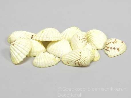 Tiger Chippy schelpen geel, 500 gram, Hobby en Vrije tijd, Knutselen, Nieuw