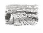 André Jacquemin (1904-1992) - Lot de 2 Gravures originales -