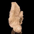 Gandharan Stucca-borst van Boeddha - 25 cm (Zonder