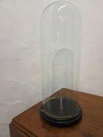 Globe - stolp - antiek - 1901-1920 - Cloche ronde ancienne, Antiek en Kunst